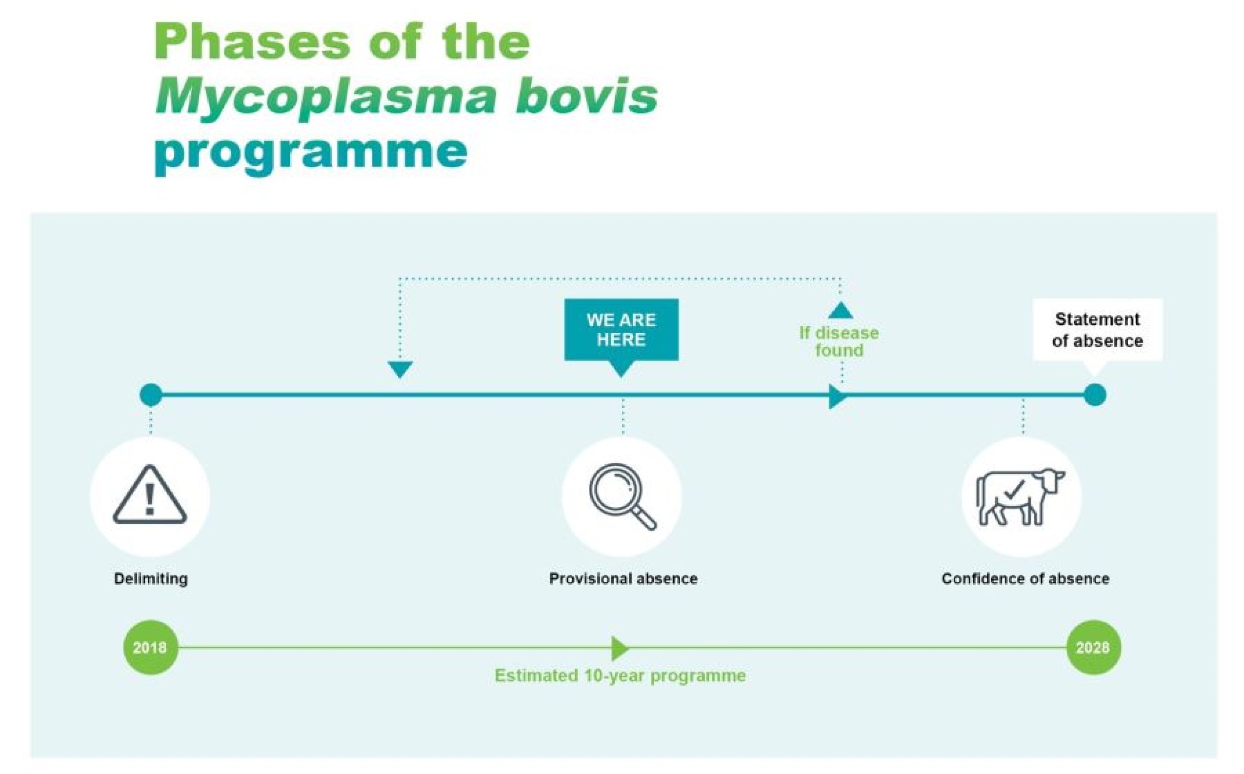 Diagram titled 'Phases of the Mycoplasma bovis programme’. Along the bottom is a horizontal dotted timeline that runs from 2018 to 2028 – the estimated 10-year programme span. Above this are the 3 phases of the programme, from left to right: delimiting, provisional absence and confidence of absence. At the right-hand end, it says statement of absence. A ‘We are here’ label indicates we are nearing the end of the delimiting phase.