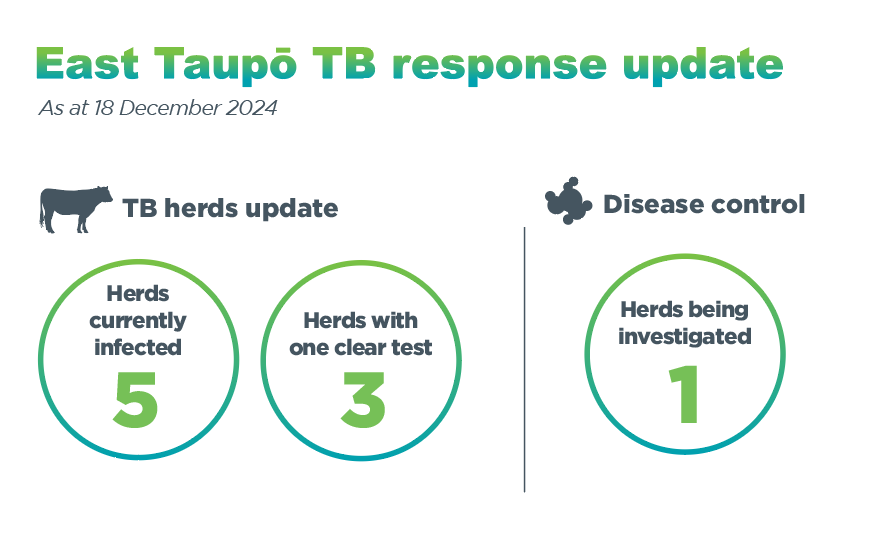 Infographic entitled 'East Taupō TB response update'. It shows the number of herds infected (4), number of herds with a clear test (0), and number of herds being investigated (2) in East Taupō