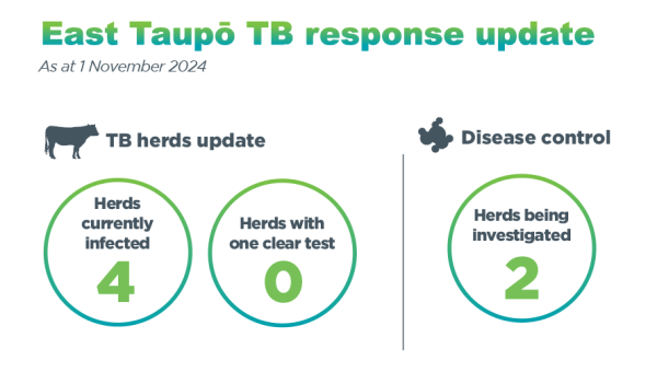 Infographic entitled 'East Taupō TB response update'. It shows the number of herds infected (4), number of herds with a clear test (0), and number of herds being investigated (2) in East Taupō