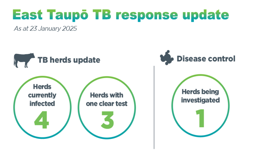 Infographic entitled 'East Taupō TB response update'. It shows the number of herds infected (4), number of herds with a clear test (0), and number of herds being investigated (2) in East Taupō