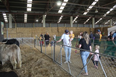 A family views a pen with several calves inside