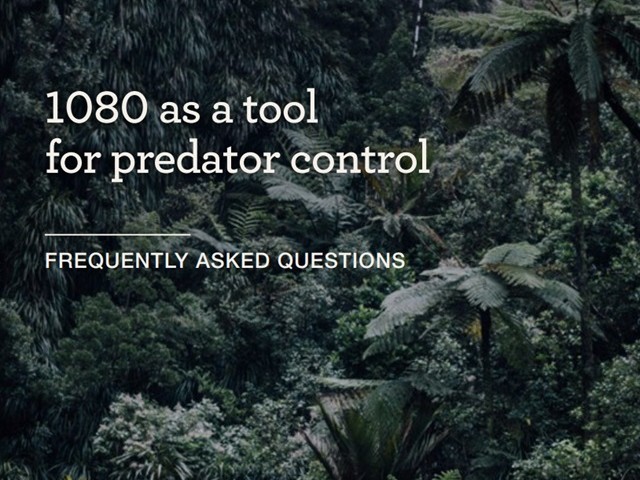The words "1080 as a tool for predator control: frequently asked questions" on a background of New Zealand bush